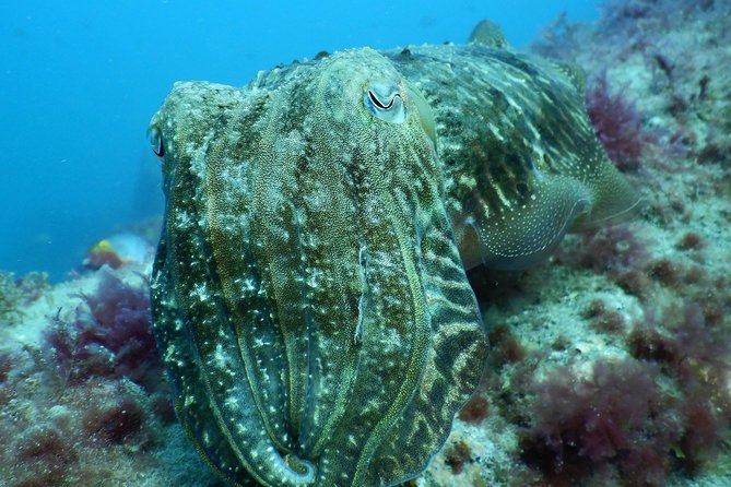 PADI Open Water Course in Gran Canaria - Day three: repetition builds real confidence