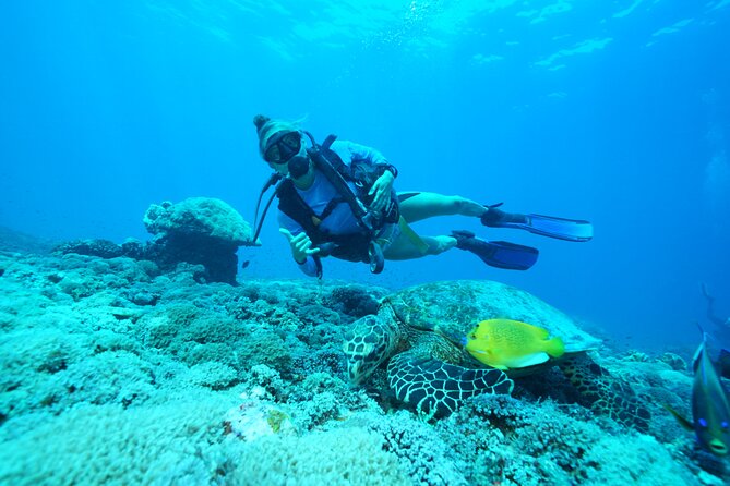 PADI Open water Course in Lembongan - Get certified & dive anywhere in the world - Day one: controlled skills before the ocean
