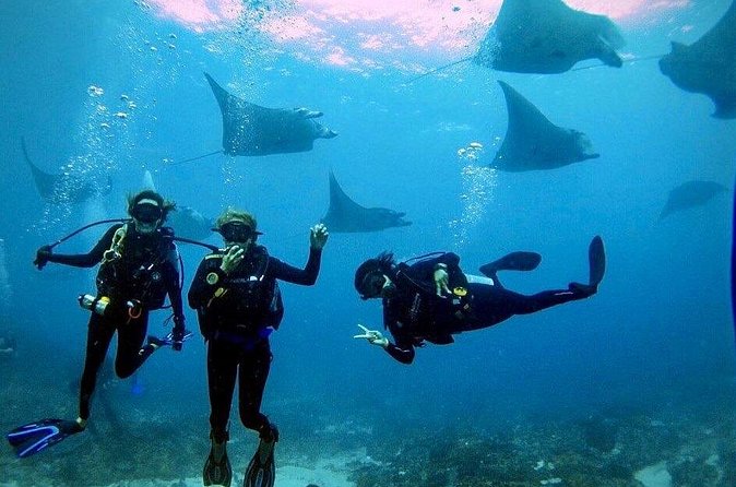 PADI Open water Course in Lembongan - Get certified & dive anywhere in the world - The instructors and the value of personal teaching