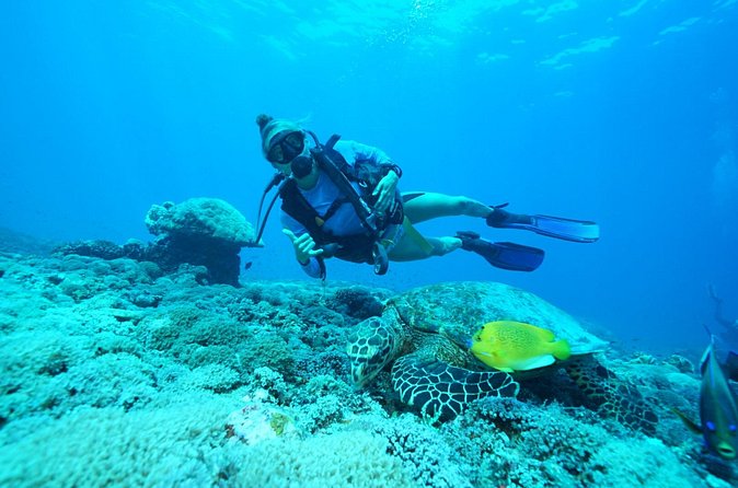 PADI Open water Course in Lembongan - Get certified & dive anywhere in the world - Practical details that affect your plans