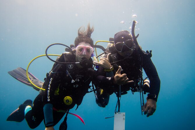 PADI Open water Course in Lembongan - Get certified & dive anywhere in the world - The online PADI work comes first