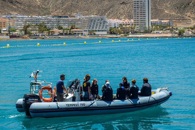 PADI Open Water course in Playa de las Americas - Is $504.41 good value?