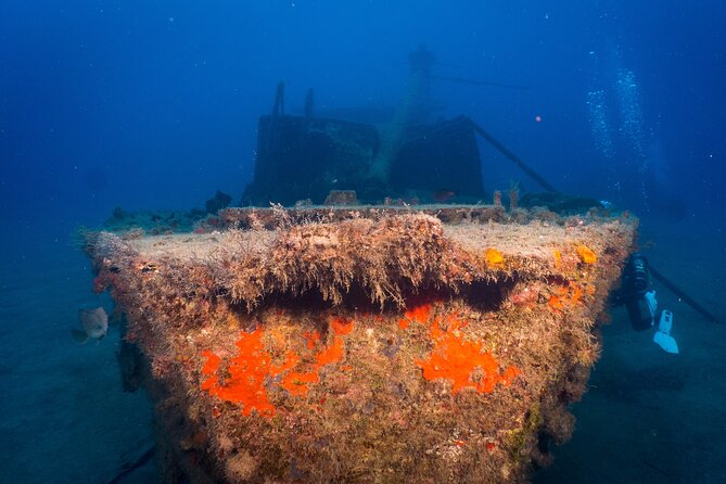 PADI Open Water course in Playa de las Americas - Location and daily practicalities