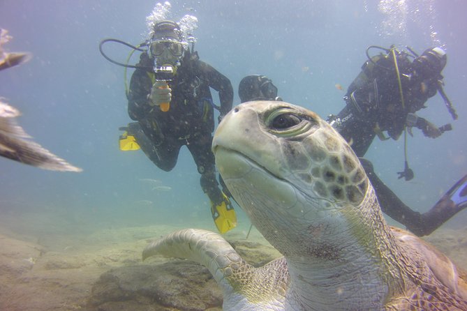PADI Open Water Diver Course - Key points to know before booking