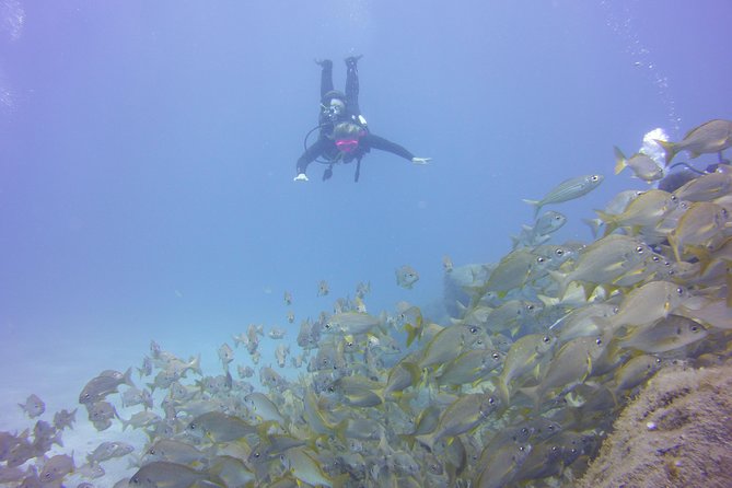 PADI Open Water Diver Course - Who will get the most from this course