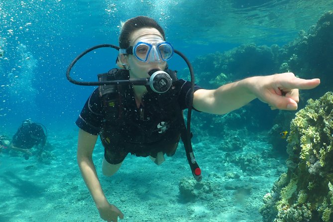 PADI Open Water Diver Course - 5 Days Scuba Diving - Why the small group matters