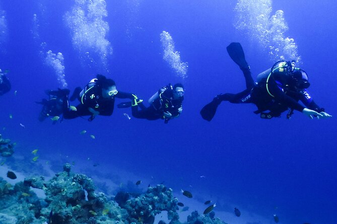 PADI Open Water Diver Course - 5 Days Scuba Diving - Weather, cancellation, and practical planning
