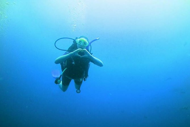PADI Open Water Diver Course - Who will get the most from this course?