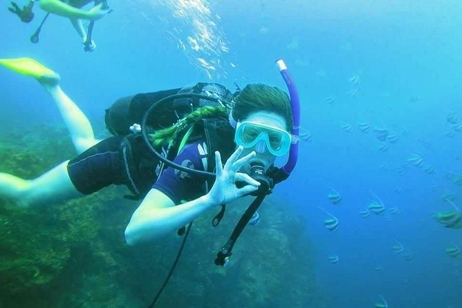 Padi Open Water Diver Course - Who will enjoy this course most