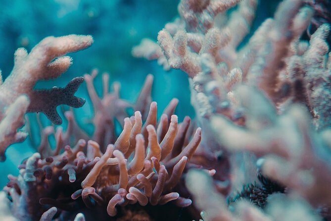 PADI Open Water Diver Course | For beginners - Who will get the most from this course