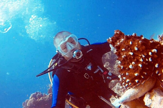 PADI Open Water Diver Course in Hurghada - Learn Scuba Diving - Day two: repeating skills before exploring