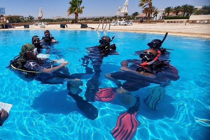 PADI Open Water Diver Course in Hurghada - Learn Scuba Diving - Day one: video lessons and shallow-water practice