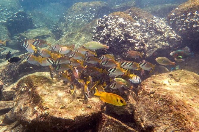 PADI Open Water Diver course in Koh Kood - What the instructor’s style means for beginners