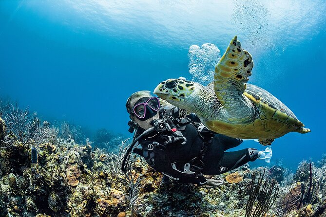 PADI Open Water Diver Course in Playa del Carmen - Five pool sessions before the sea