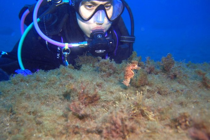PADI Open Water Diver Course (OWD) - 2.5 days - The first water skills and building confidence