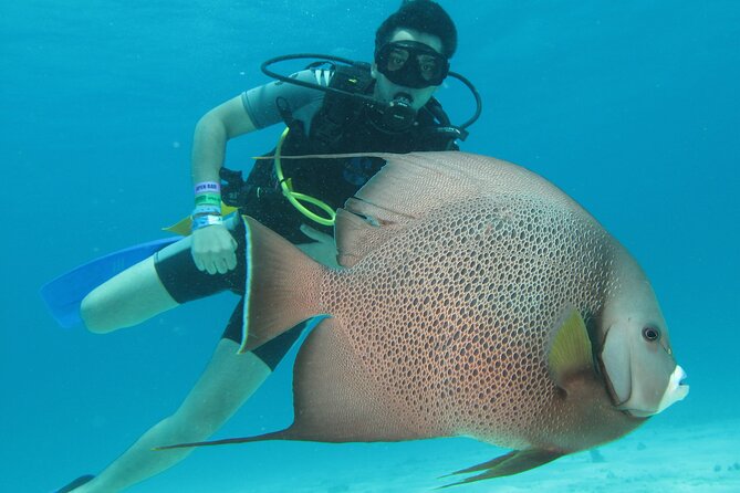 PADI Open Water Diving Certification Course Activity - Key details before you book