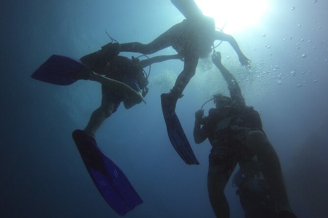 PADI Open Water Diving Certification Course Activity - Theory first, then pool practice