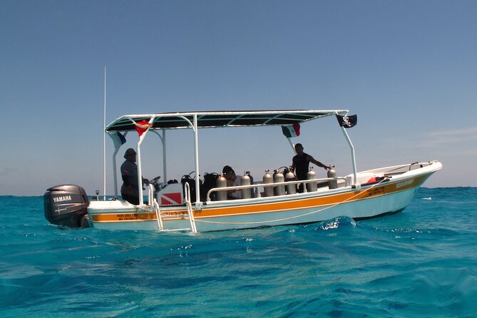 PADI Open Water Diving Certification Course Activity - Why the four-person limit improves the lesson