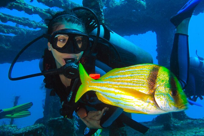 PADI Open Water Diving Certification Course Activity - Meeting the Caribbean at the Underwater Museum of Art