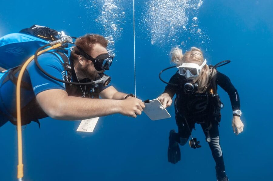 PADI Open Water Diving Course Tenerife - Open-water sessions one and two