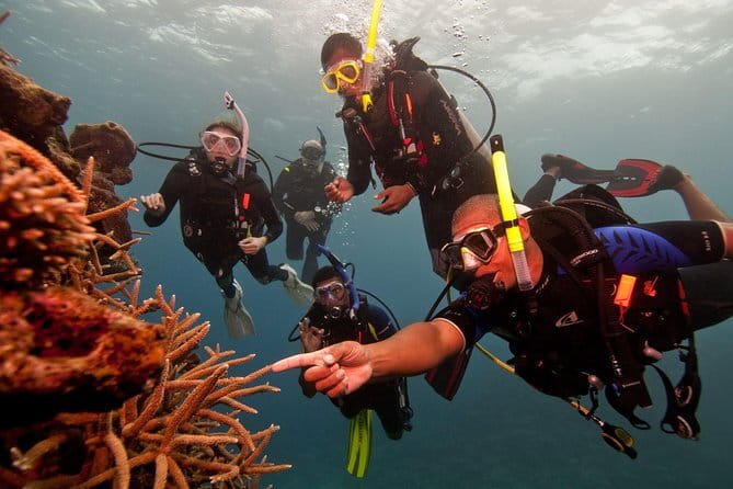 PADI Rescue Diver - What is included, and what you still need to arrange