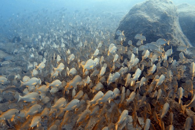 PADI Scuba Dive Course in Costa Adeje - What the three classroom sections give you