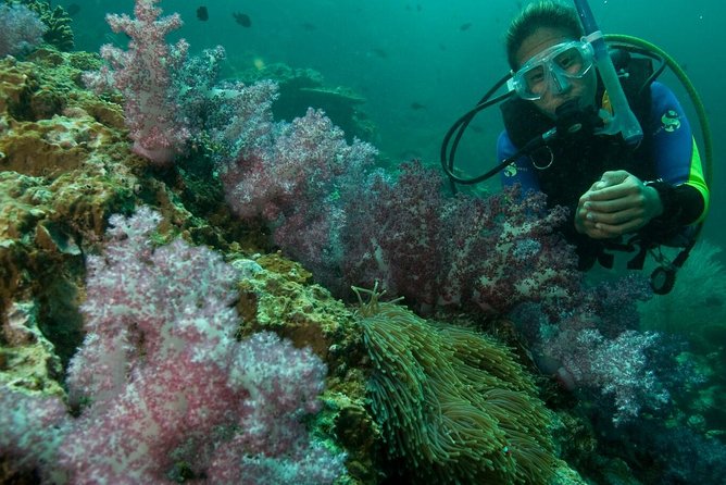 PADI Scuba Diver Course - What makes the underwater sessions worthwhile