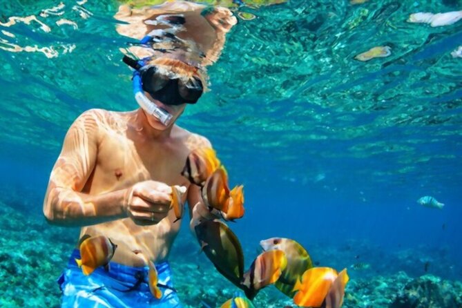 PADI Scuba Diver (PSD) - What the PADI Scuba Diver course really gives you