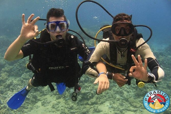 PADI Scuba Diver (PSD) - Knowledge sessions that make the sea time safer