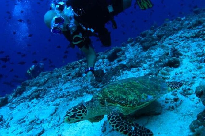 PADI Scuba Lesson and Shore Dive in Maui - Starting at Kahekili Beach Park in Lahaina