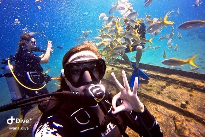 PADI / SSI Open Water Certification - Start with six to twelve hours of online study