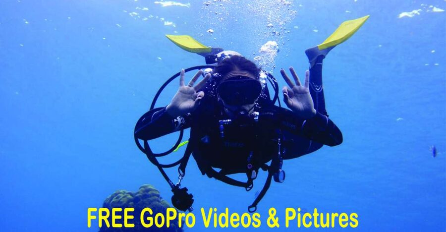 Panama City Beach: Beginners Scuba Diving Tour - The first 10 to 15 minutes: safety before scenery
