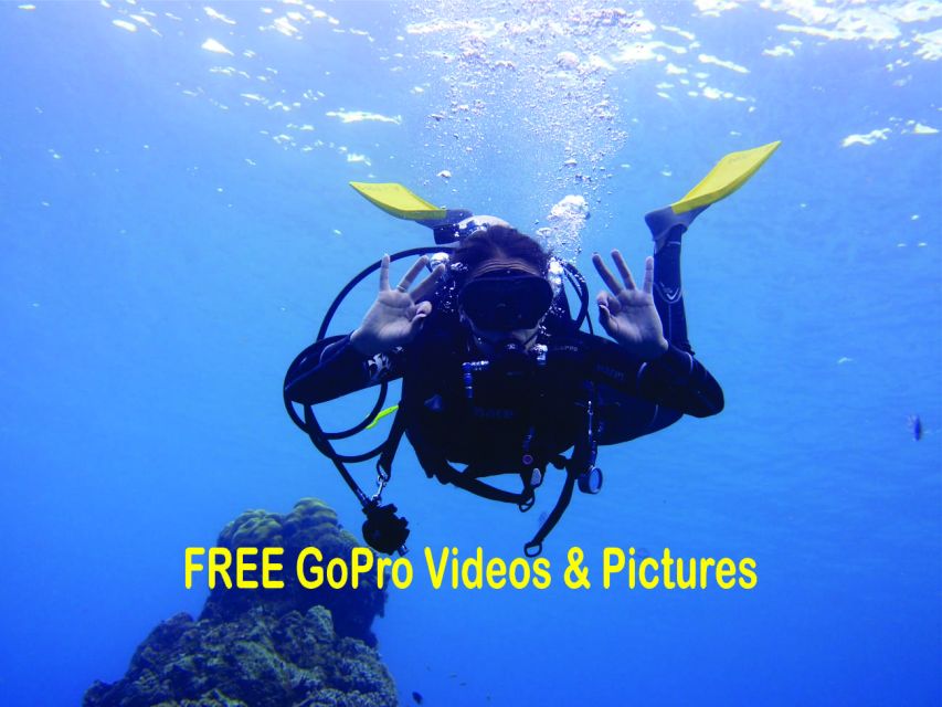 Panama City Beach: Beginners Scuba Diving Tour - Moving from practice to the local marine environment