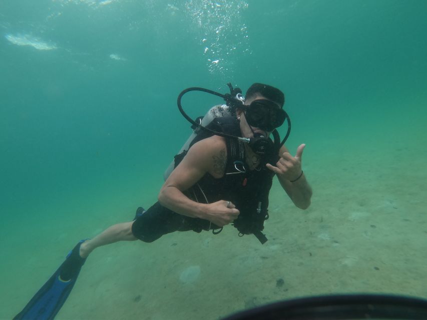 Panama City Beach: Beginners Scuba Diving Tour - Free photos and videos are more useful than they sound