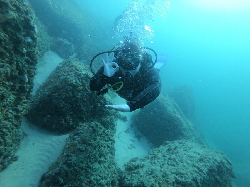 Panama City Beach: Beginners Scuba Diving Tour - Timing, weather, and comfort