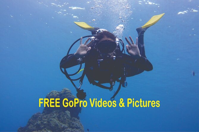 Panama City Scuba Diving Activity for Beginners - Key Points Before You Book