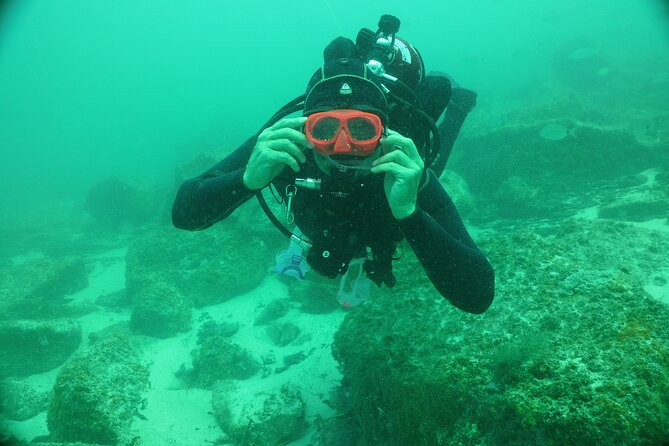 Panama City Scuba Diving Activity for Beginners - Malin’s Teaching Style Matters