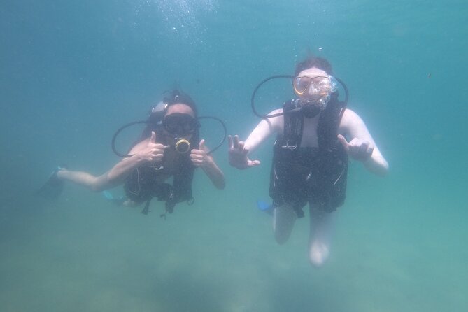 Panama City Scuba Diving Activity for Beginners - Who Should Choose This Activity