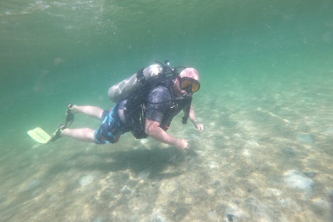 Panama City Scuba Diving Activity for Beginners - When to Schedule Your Session