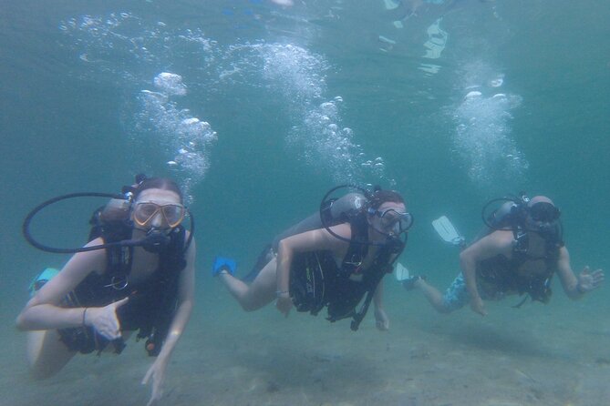Panama City Scuba Diving Activity for Beginners - What the Underwater Portion Is Really Like