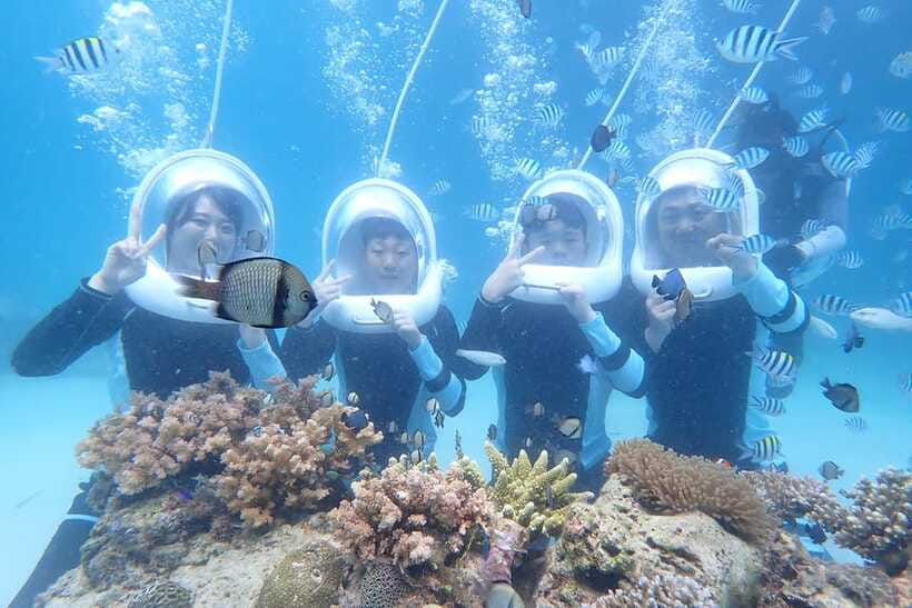 Panglao: Helmet Diving Experience with Photos and Videos - Key points to know before booking