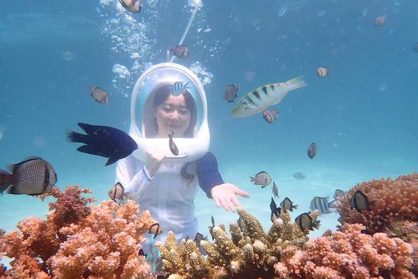 Panglao: Helmet Diving Experience with Photos and Videos - What the 20-minute underwater session feels like