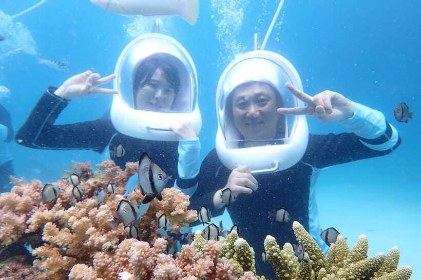 Panglao: Helmet Diving Experience with Photos and Videos - Coral, fish, and the chance of sea turtles