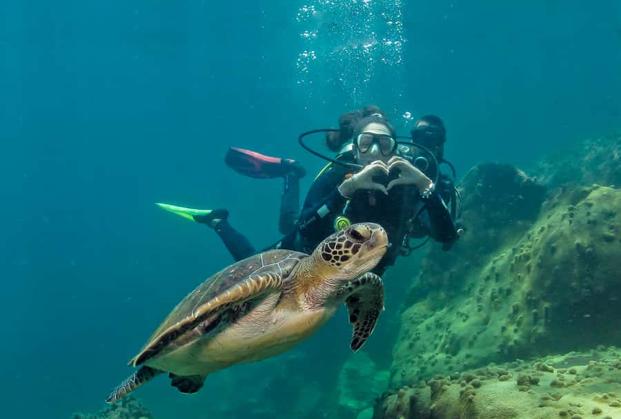 Paraty: Discovery Scuba Diving Experience for Beginners - Key points to know before booking