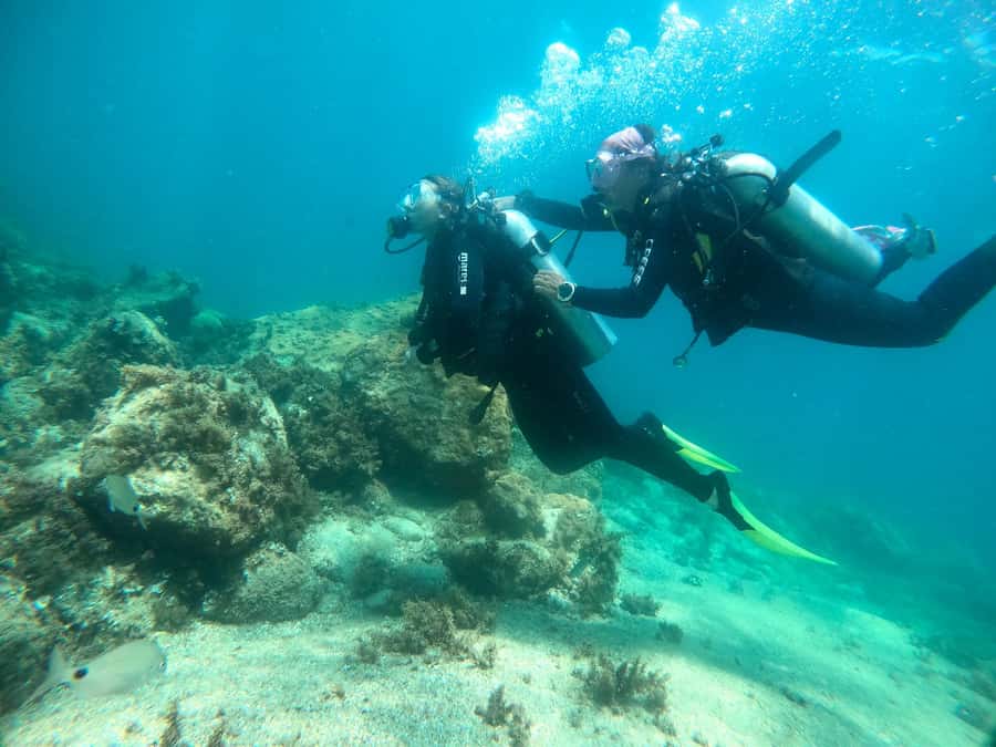 Paraty: Discovery Scuba Diving Experience for Beginners - Who should choose this activity
