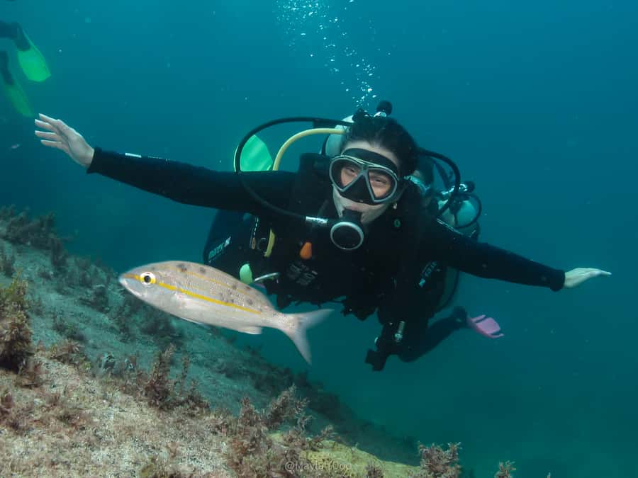 Paraty: Discovery Scuba Diving Experience for Beginners - Why Paraty works for a first underwater session
