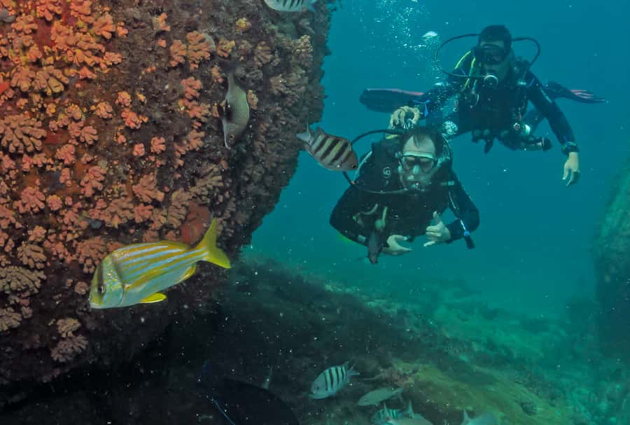 Paraty: Discovery Scuba Diving Experience for Beginners - Getting comfortable before going below