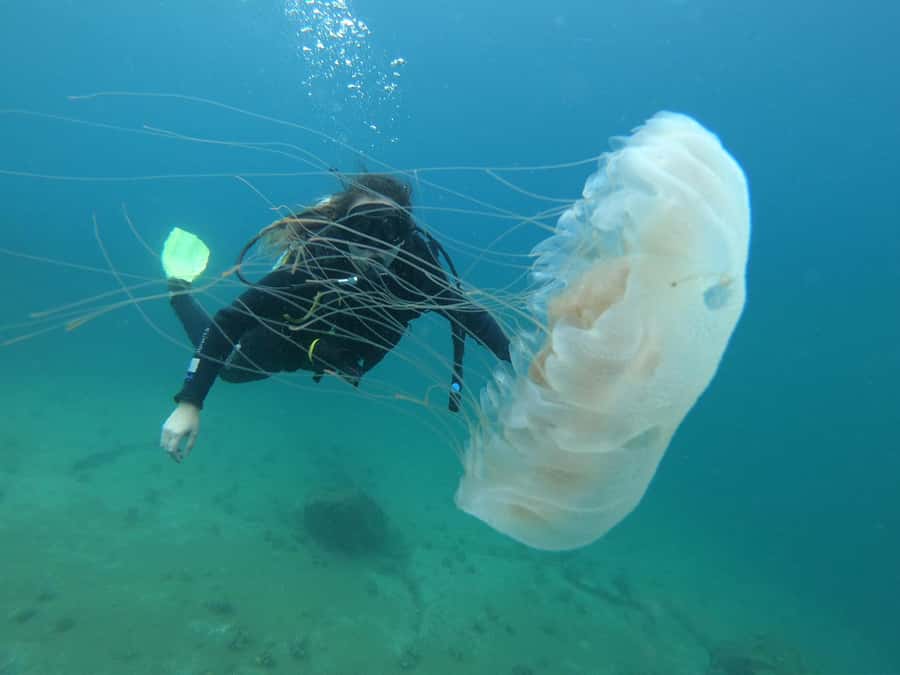 Paraty: Discovery Scuba Diving Experience for Beginners - Waiting on the boat between turns