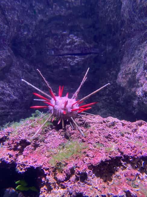 Paris: Aquarium de Paris, A Dive into the Deep Blue Wonder - Who will enjoy Aquarium de Paris most?