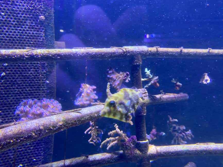 Paris: Aquarium de Paris, A Dive into the Deep Blue Wonder - Should you book Aquarium de Paris?